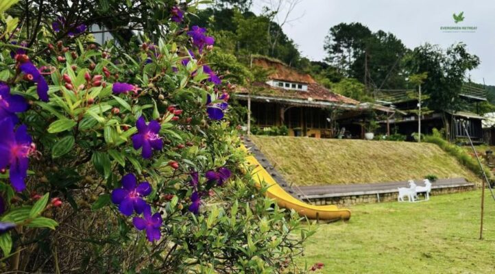 nhachung gia dinh Neon Film Studio
